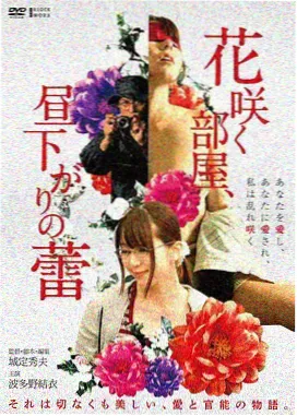 午夜灯塔电影高清上线